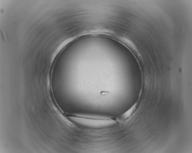 X0000070391420200606301935