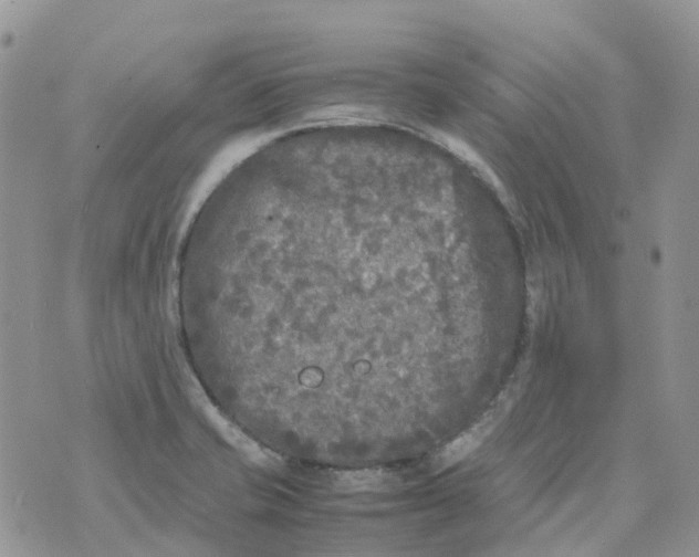 X0000070391421200606301935