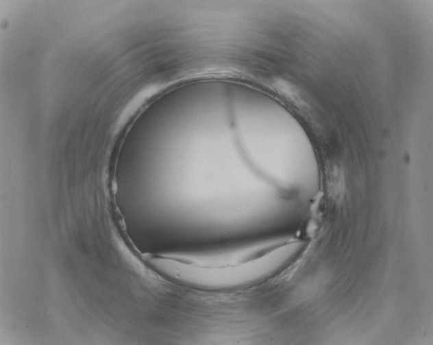 X0000070391422200606301935