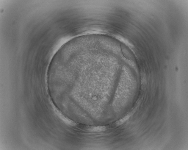 X0000070391423200606301935