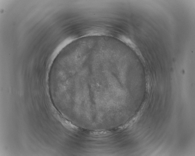 X0000070391427200606301935