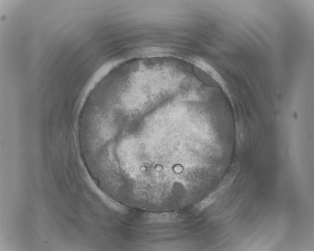 X0000070391429200606301935