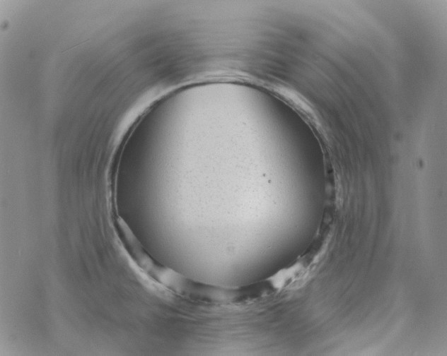 X0000070391430200606301935