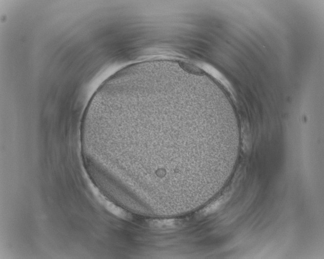 X0000070391431200606301935