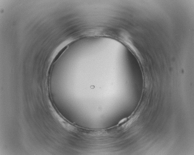 X0000070391434200606301935