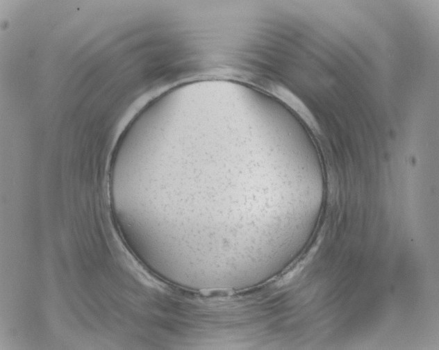 X0000070391436200606301935