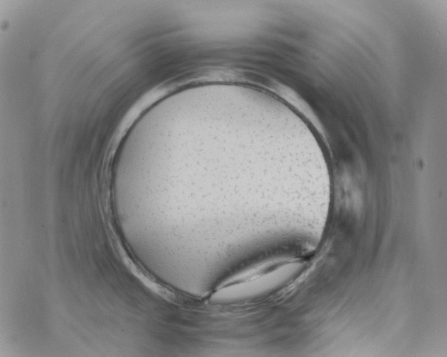 X0000070391437200606301935