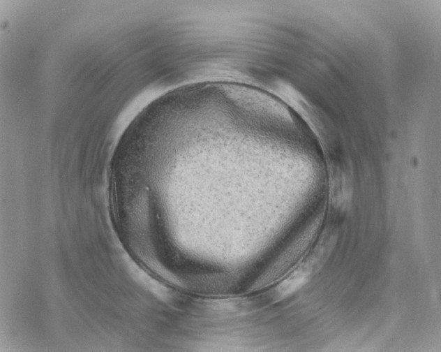 X0000070391438200606301935