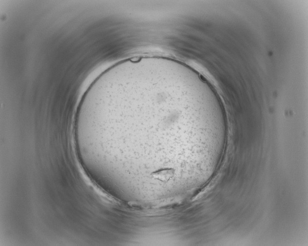 X0000070391440200606301935