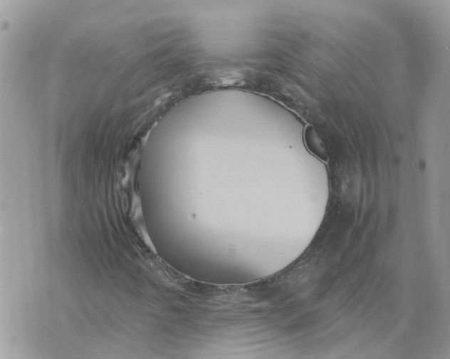 X0000070391442200606301934