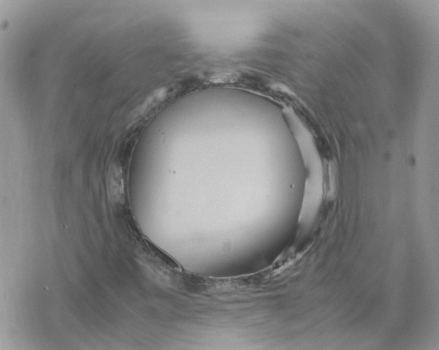 X0000070391443200606301934