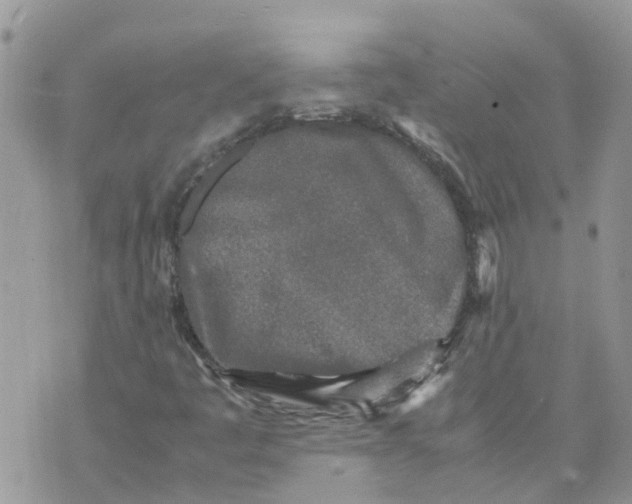 X0000070391445200606301934