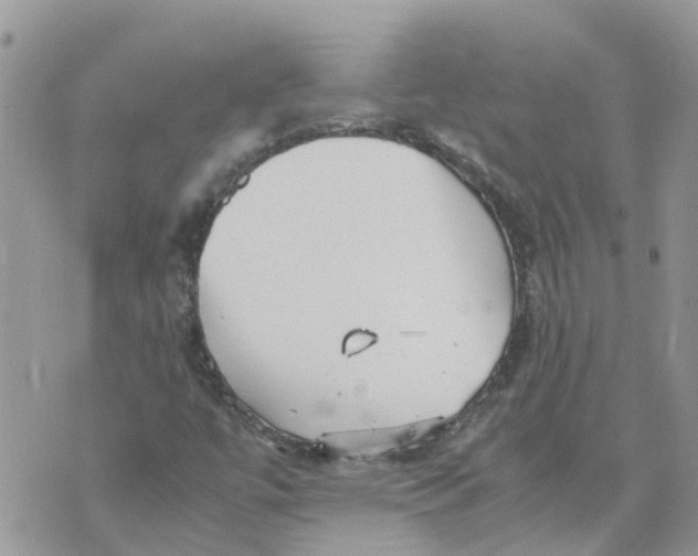 X0000070391447200606301934