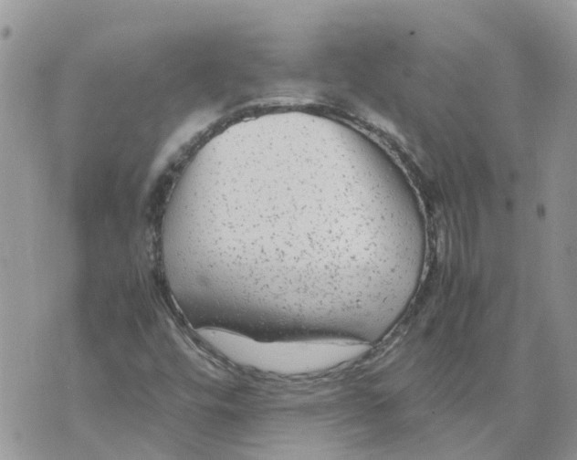 X0000070391448200606301934