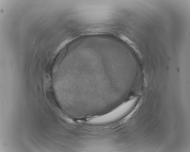 X0000070391449200606301934