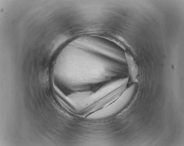 X0000070391450200606301934