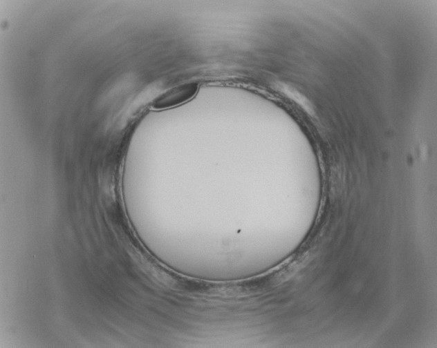 X0000070391451200606301934