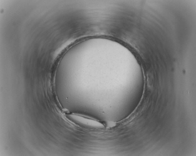 X0000070391452200606301934