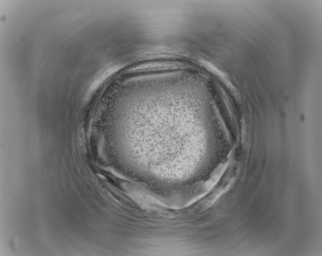 X0000070391453200606301934