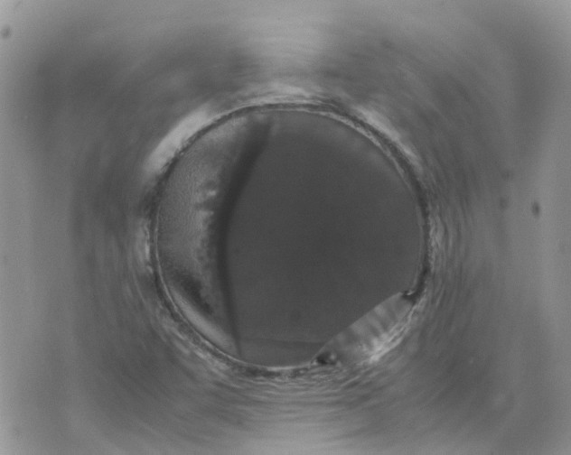 X0000070391455200606301934