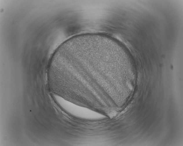 X0000070391459200606301934