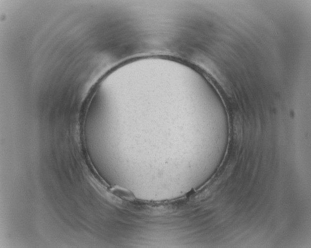 X0000070391460200606301934