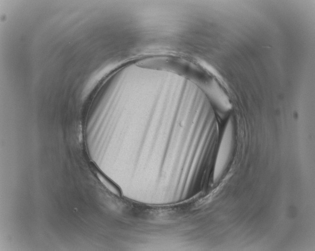 X0000070391461200606301934