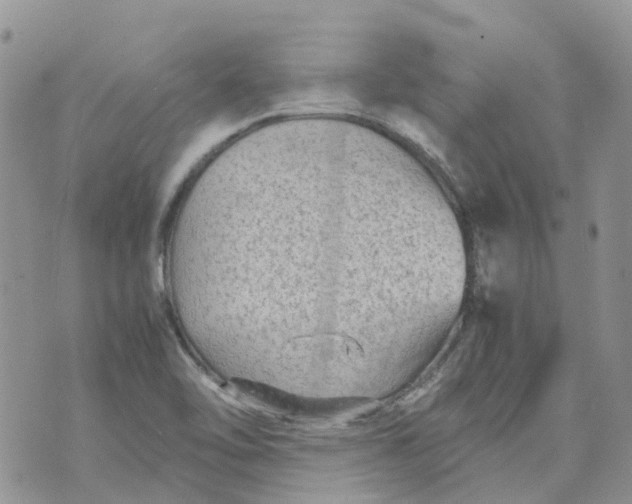 X0000070391462200606301934