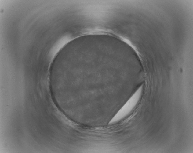 X0000070391463200606301934