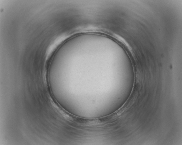 X0000070391464200606301934