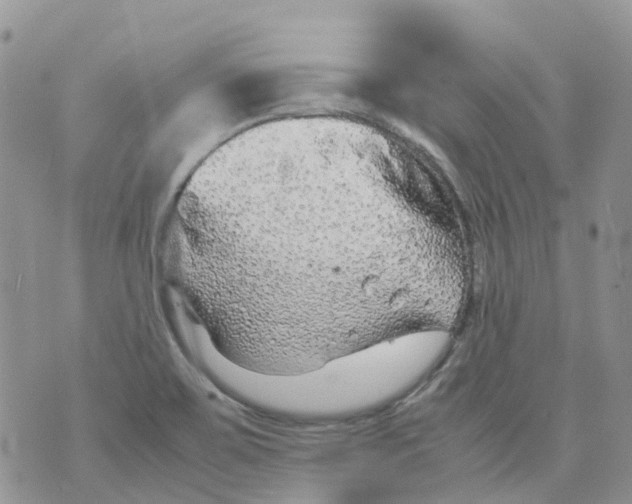 X0000070391467200606301934