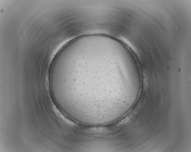 X0000070391468200606301934