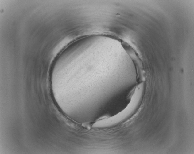 X0000070391469200606301934