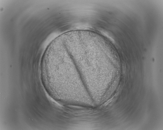 X0000070391471200606301934