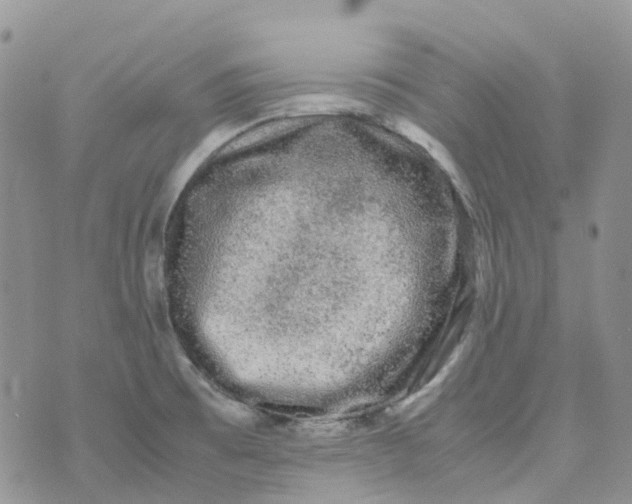 X0000070391473200606301934