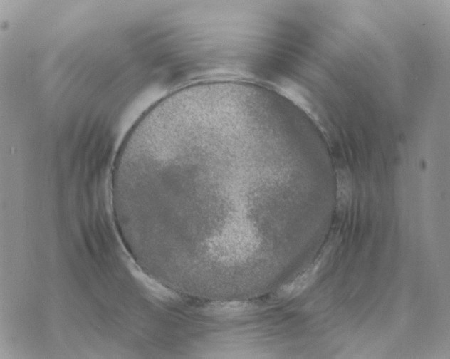 X0000070391474200606301934