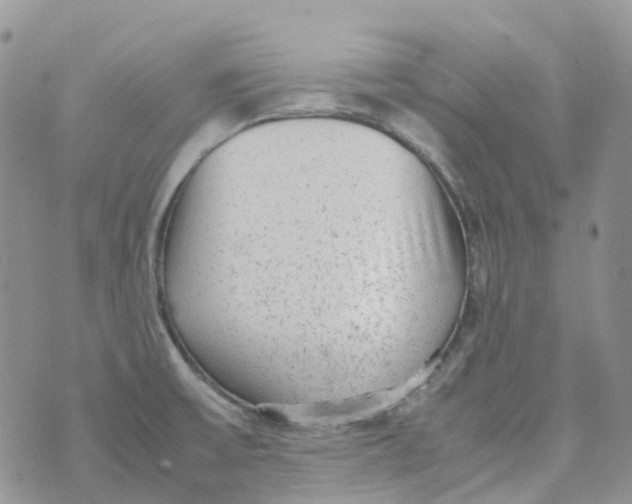 X0000070391475200606301934