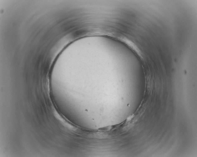 X0000070391476200606301934