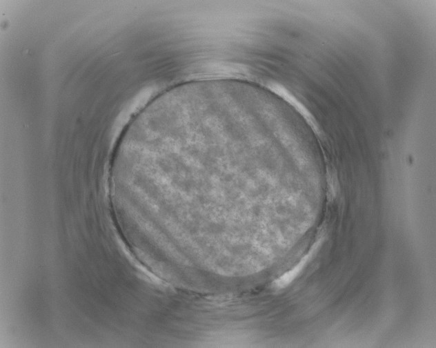 X0000070391477200606301934