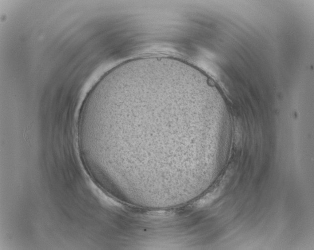 X0000070391478200606301934