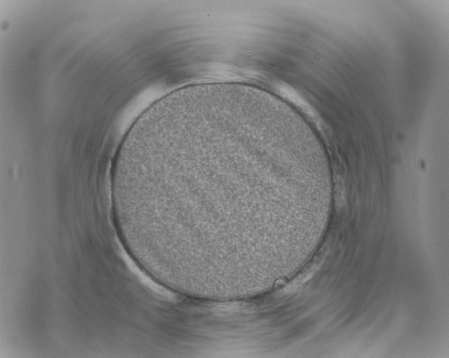 X0000070391479200606301934