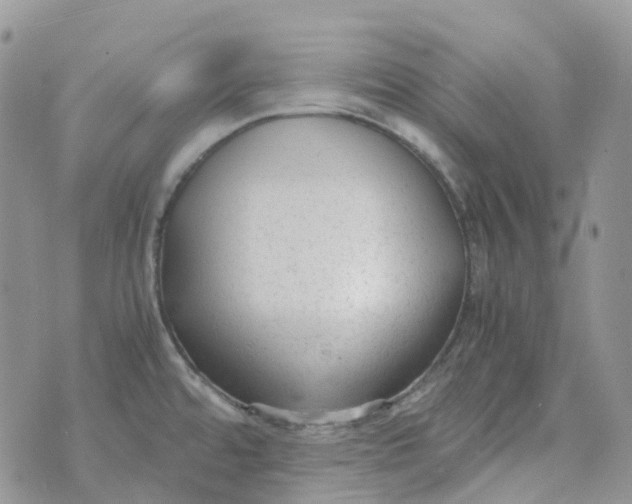 X0000070391480200606301934