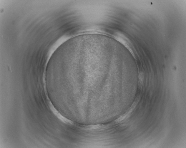 X0000070391482200606301934