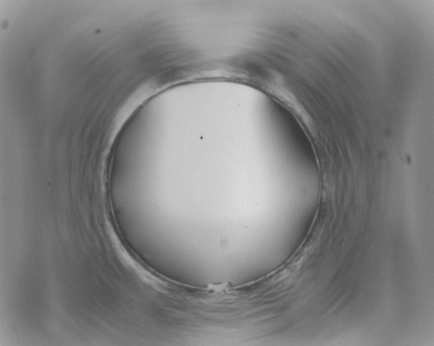 X0000070391483200606301934