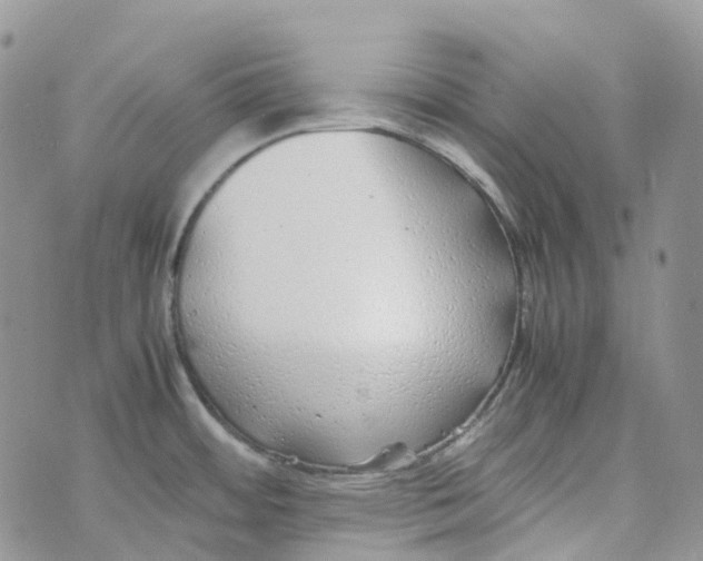 X0000070391484200606301934