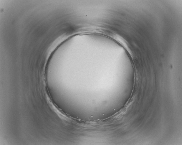 X0000070391485200606301934