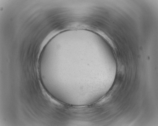 X0000070391486200606301934