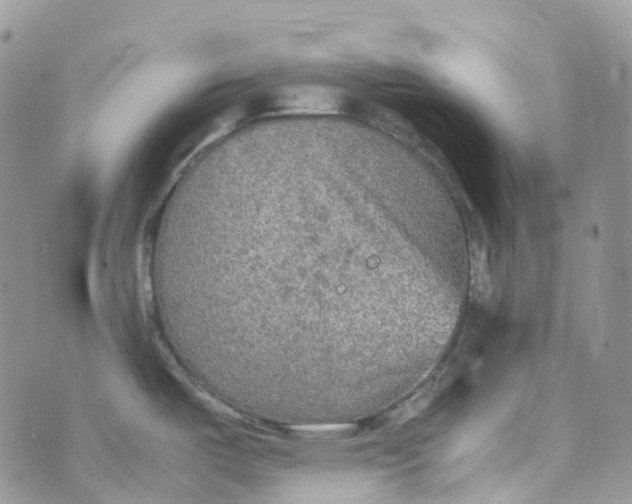 X0000070391487200606301934