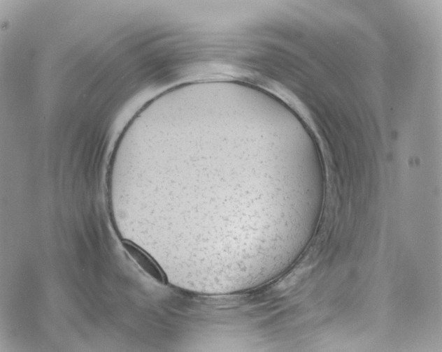 X0000070391488200606301934