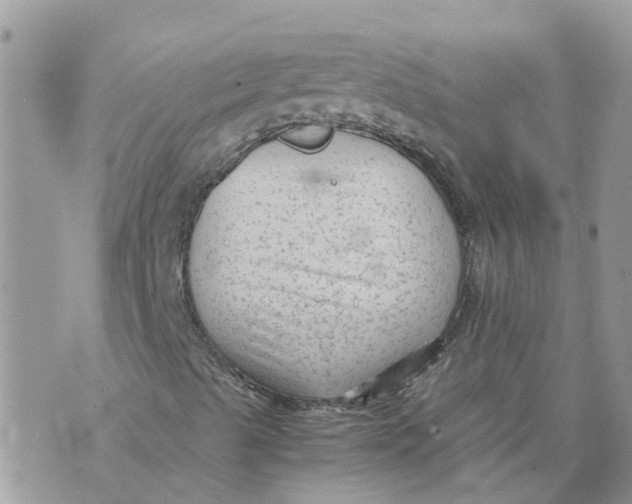 X0000070391489200606301933